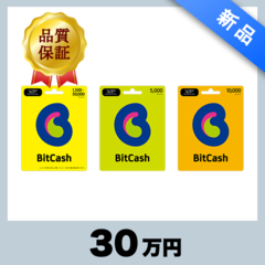 BitCash（30万円）