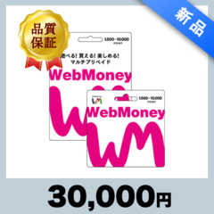 WebMoney（30,000円）